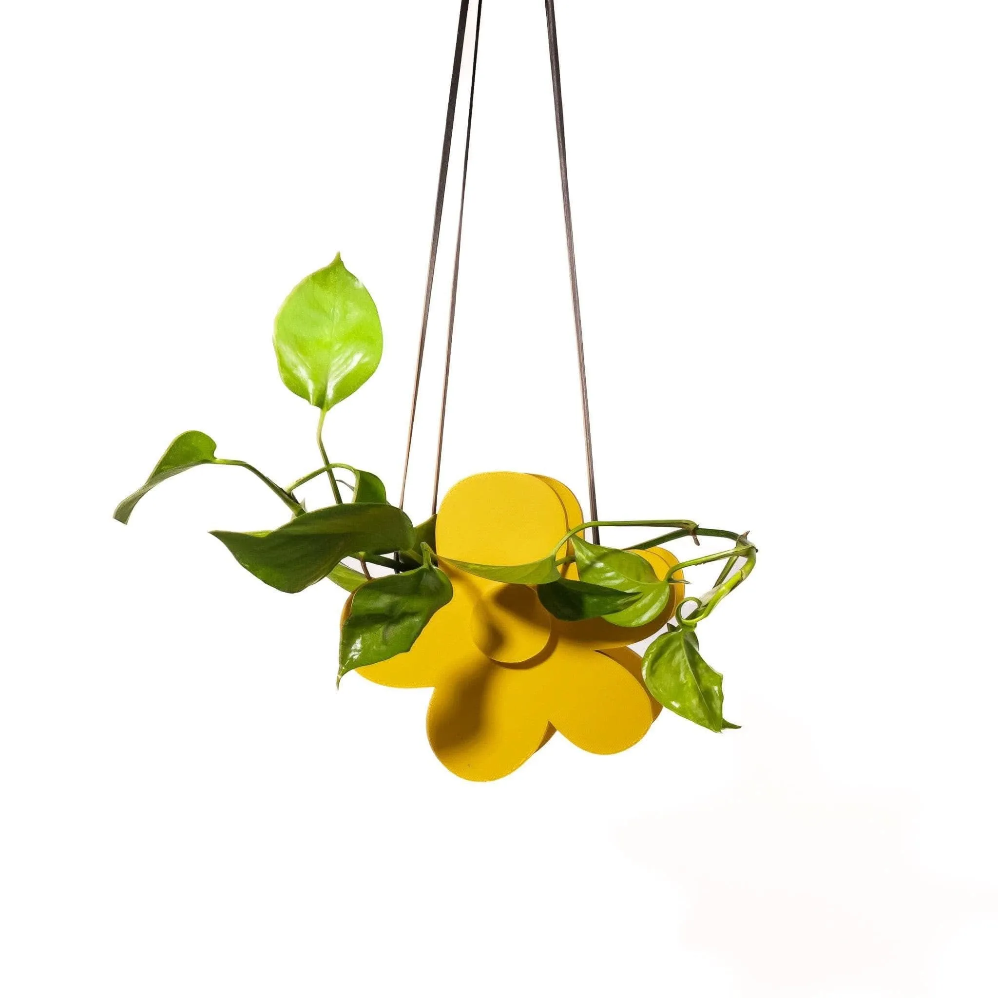 3D Printed Hanging Daisy Planter