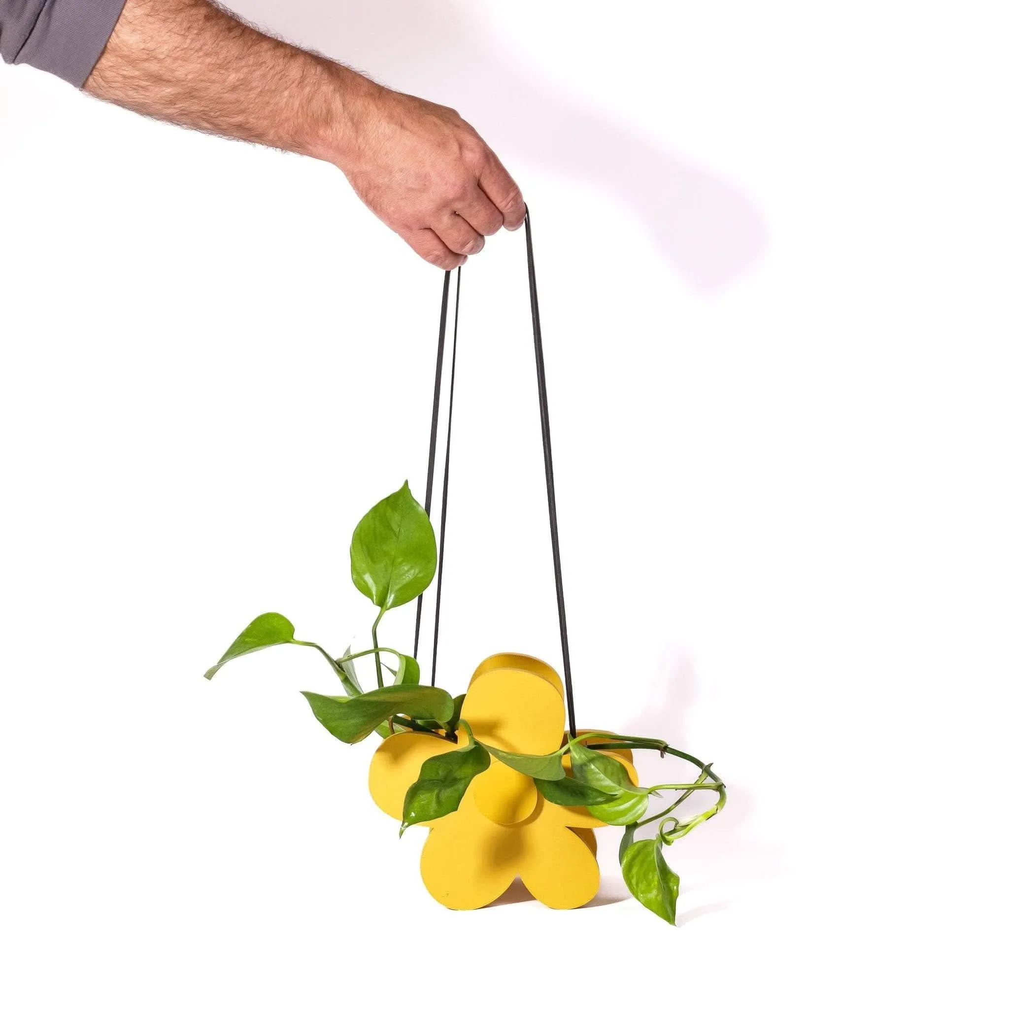 3D Printed Hanging Daisy Planter