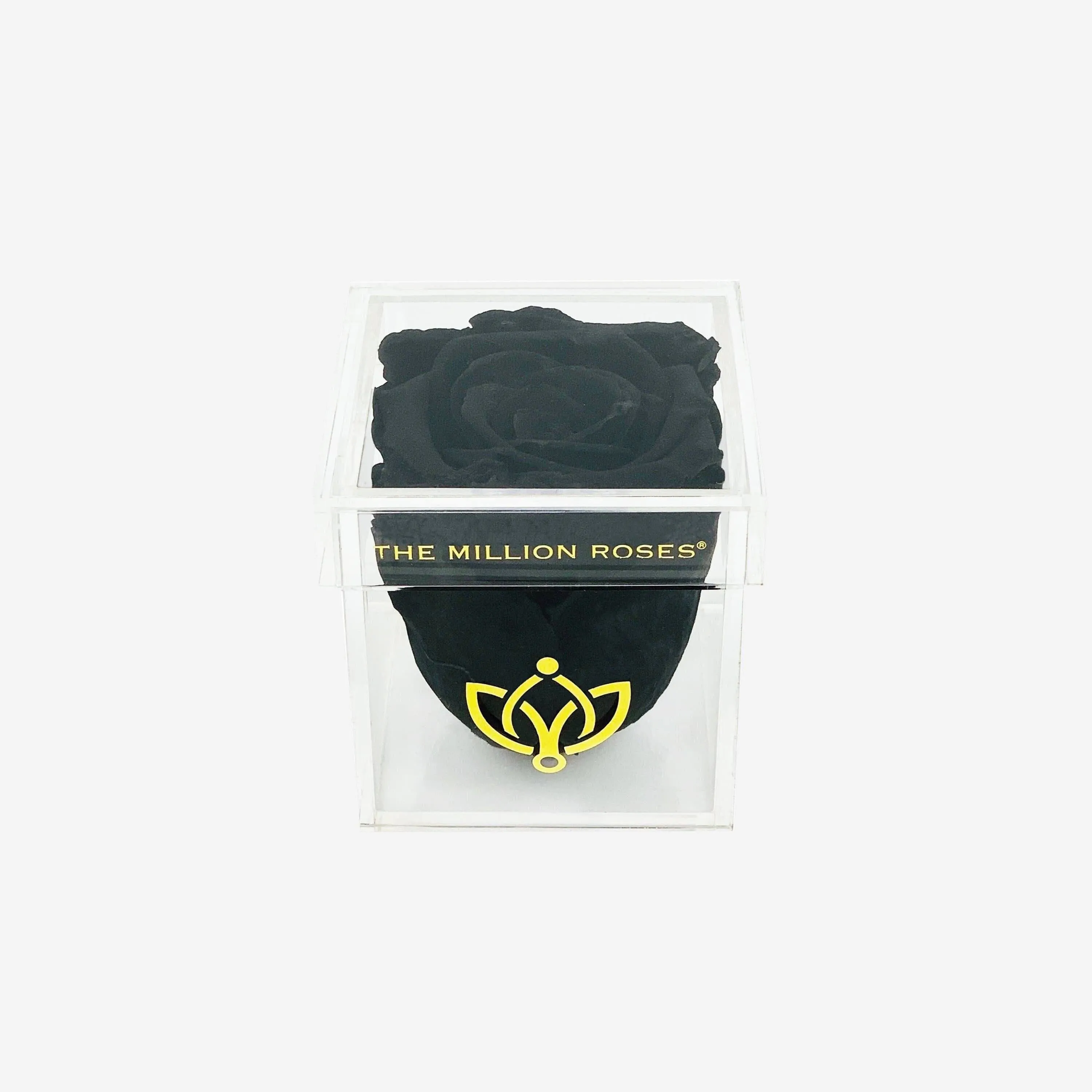 Acrylic Single Box | Black Rose