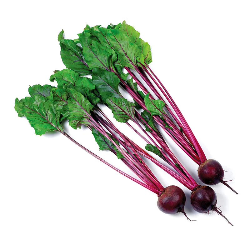 Beet Eagle F1 Seed