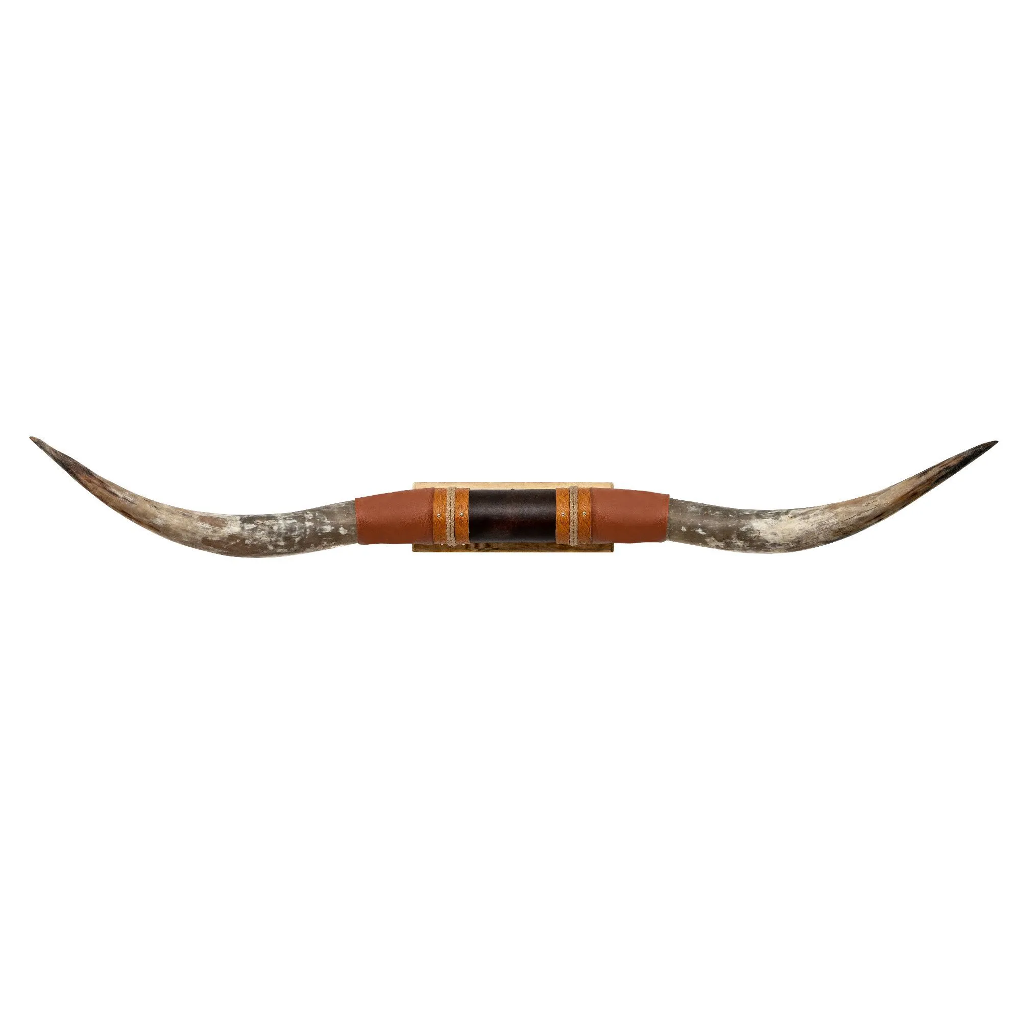 Brown Leather Mount // Standard Longhorns - Trapper