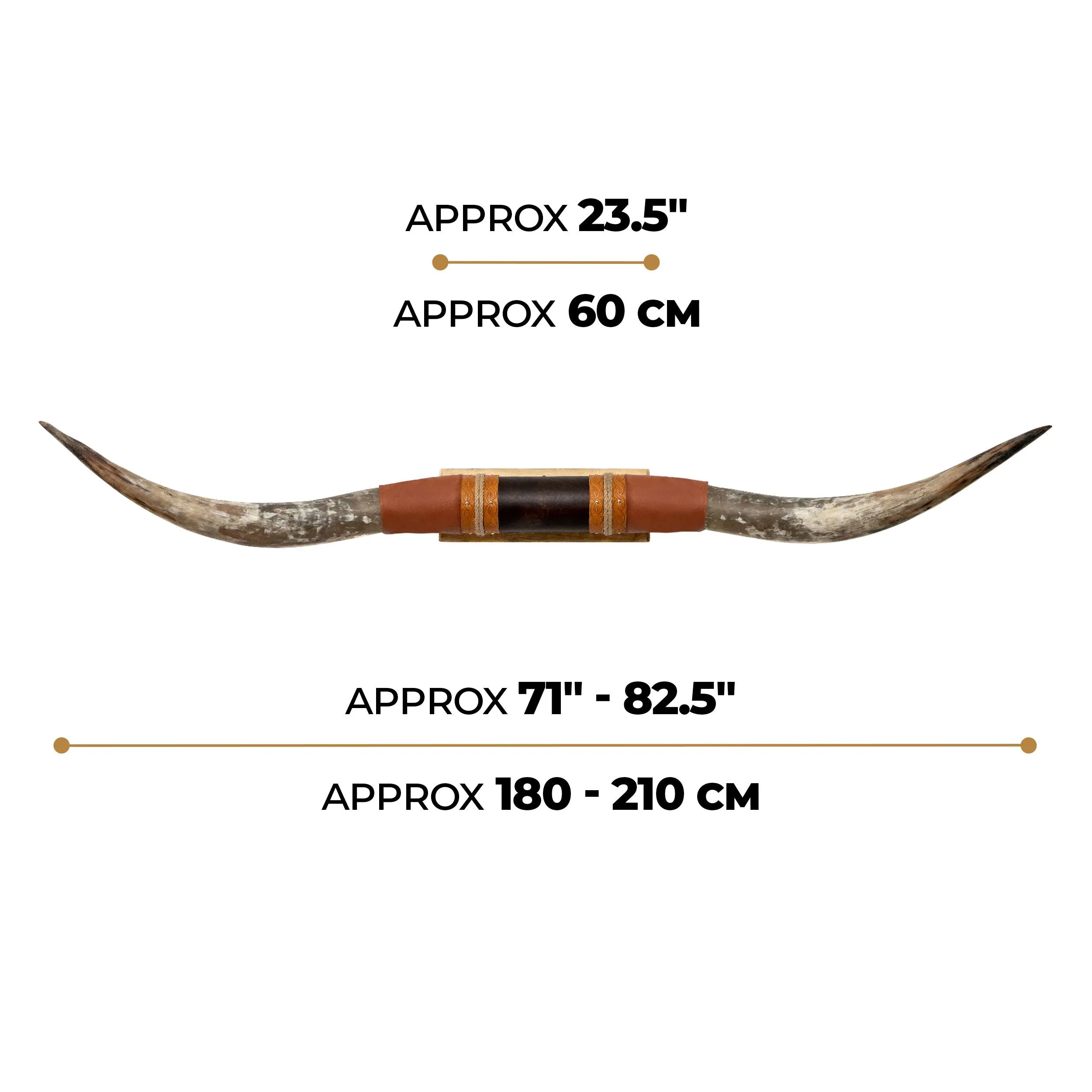 Brown Leather Mount // Standard Longhorns - Trapper