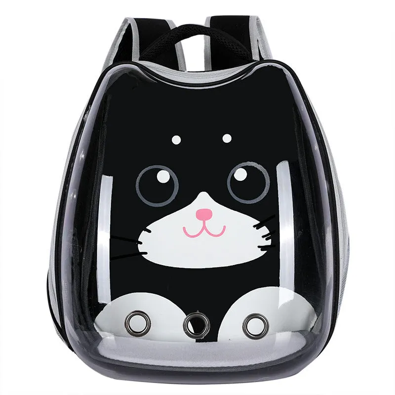 Cat Bag Transparent Outgoing  holding Cat