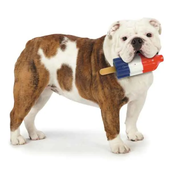 Cool Pup Popsicle Toy