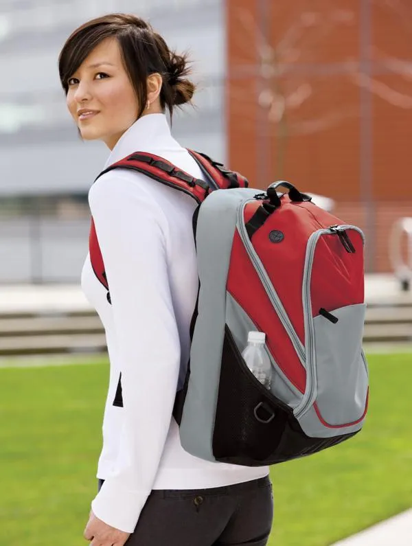 Ergonomic Large Computer Backpack up to 17" laptops