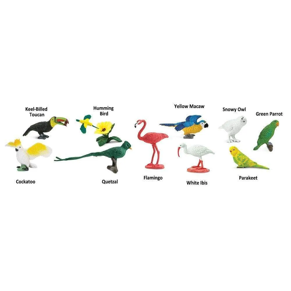 Exotic Birds Bulk Bag