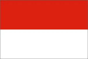 Indonesia National Flag Printed