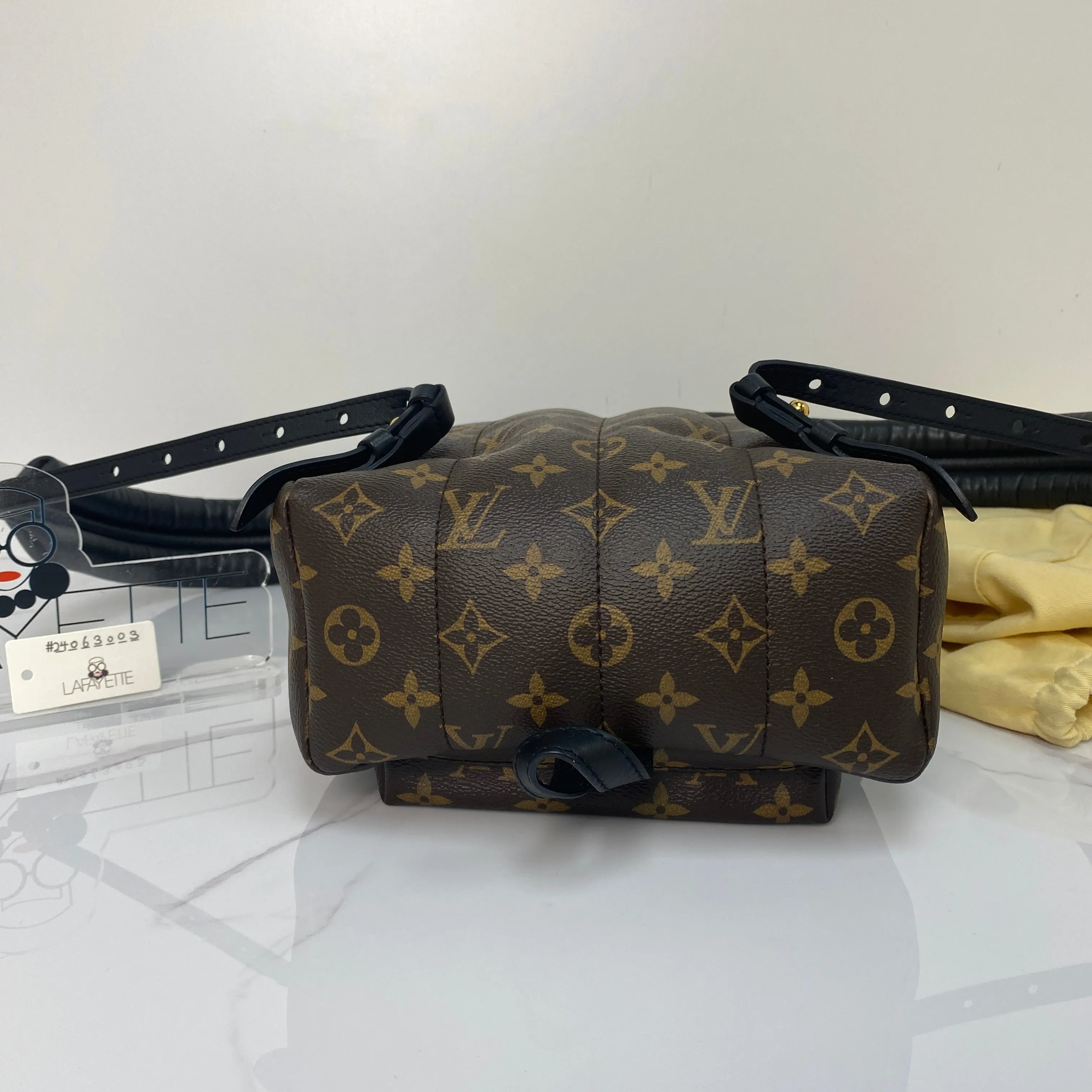 Louis Vuitton Palm Springs MM