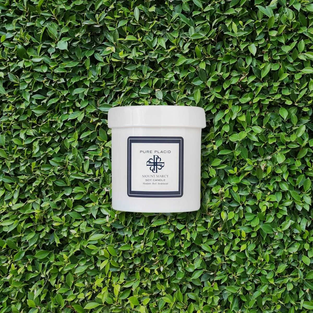 Mount Marcy Soy Candle