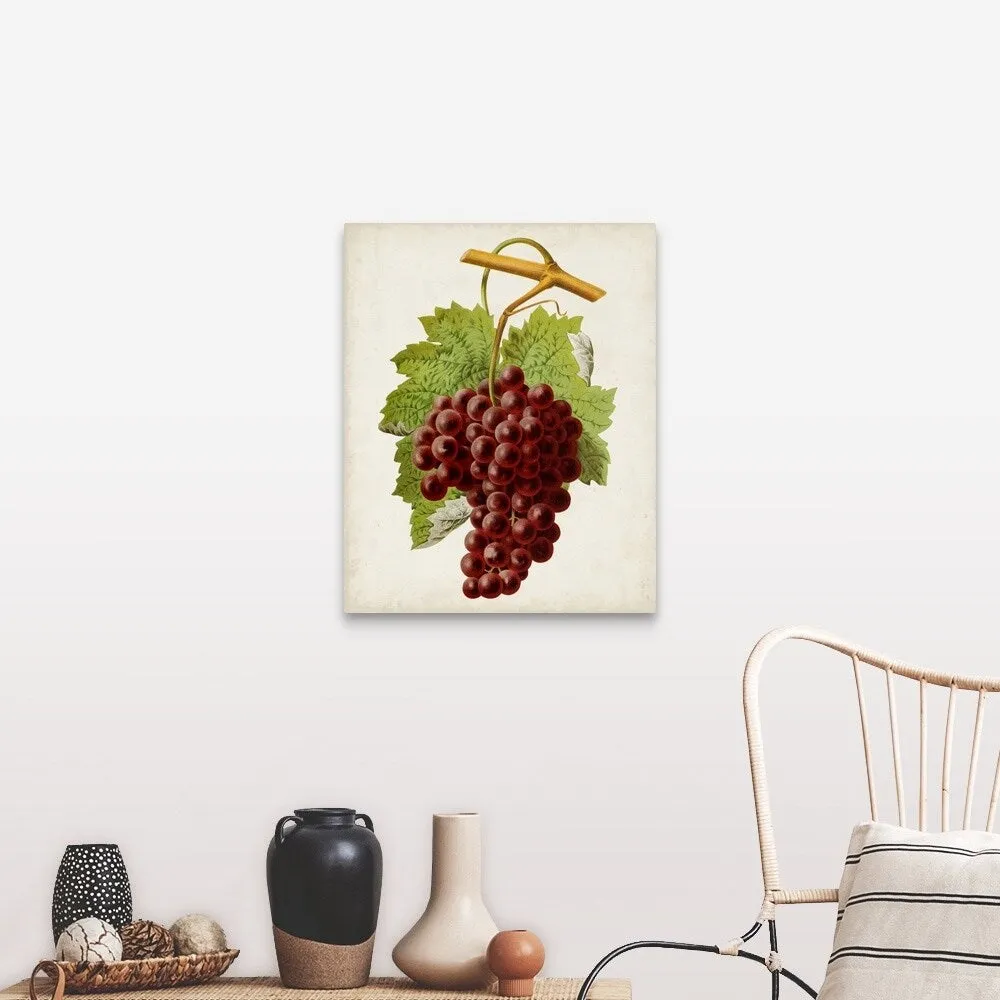 "Antique Fruit III" Canvas Wall Art