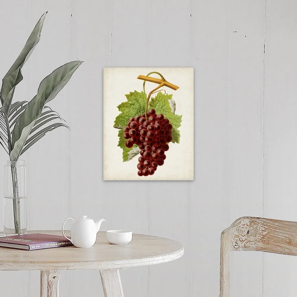 "Antique Fruit III" Canvas Wall Art