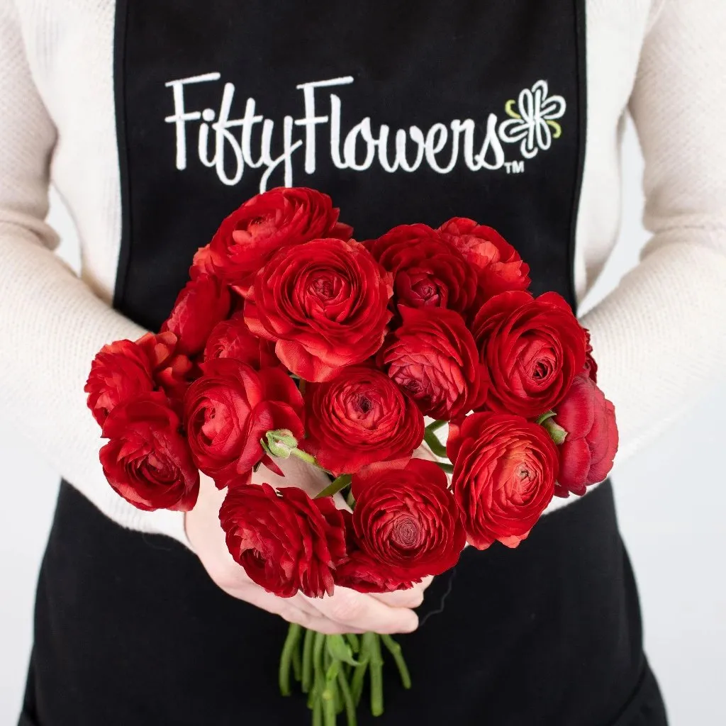 Red Ranunculus Fresh Cut Flower