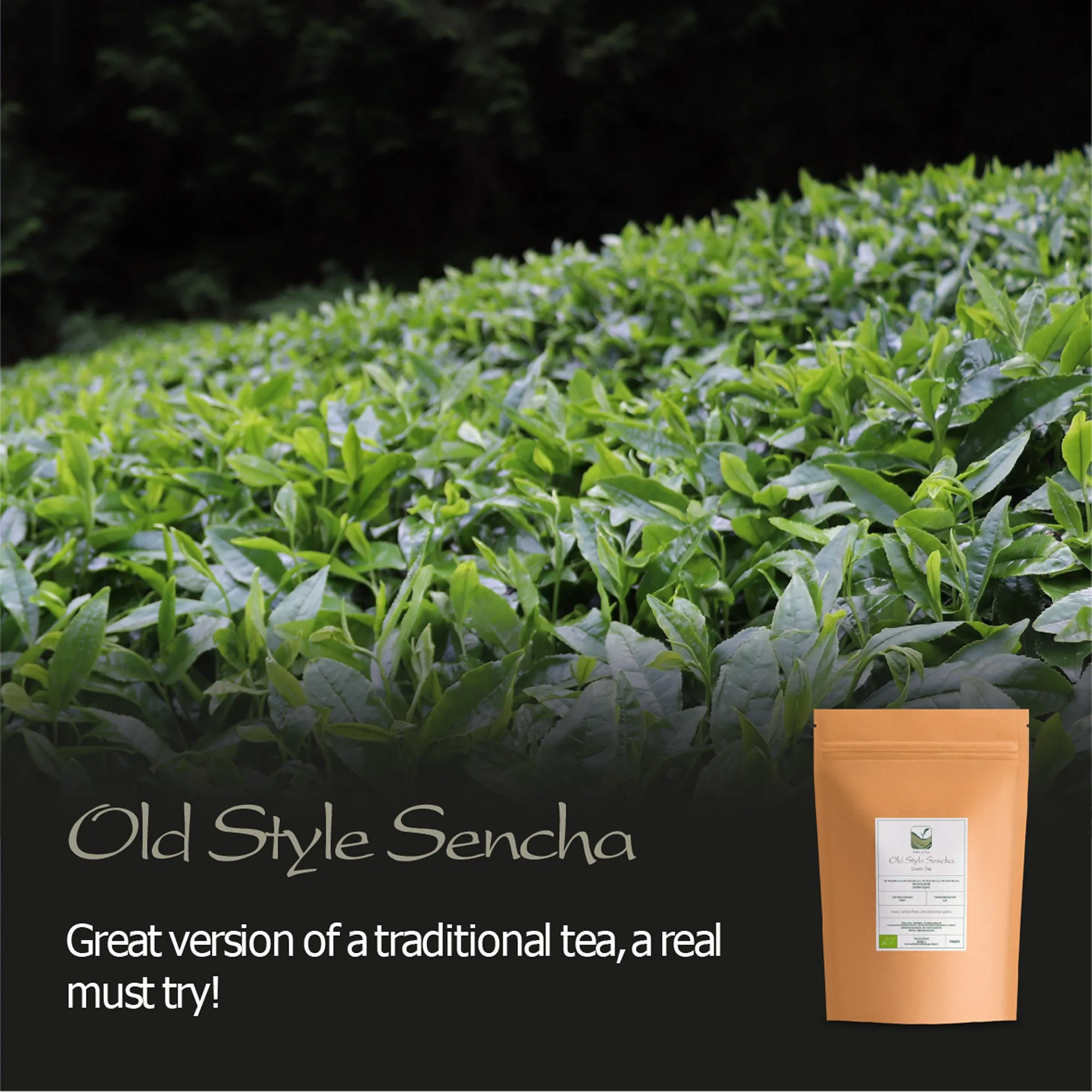 Sencha Organic Green Tea Japan - Artisan Farm - Sen Ca